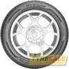 Купити Літня шина DUNLOP Sport BluResponse 205/55R17 95V XL