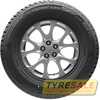 Купити Зимова шина ROSAVA Snowgard 185/65R15 86T (Під шип)