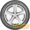 Купить Зимняя шина DUNLOP Winter Sport 5 215/55R16 93H