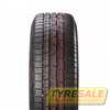 Купити Зимова шина CONTINENTAL ContiWinterContact TS 830P 255/45R19 100V