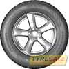 Купить Зимняя шина Nokian Tyres WR SUV 3 255/45R20 105V