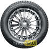 Купити Зимова шина ROADSTONE Winguard WinSpike 215/50R17 95T (Під шип)