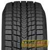 Купити Зимова шина ROADSTONE Winguard Ice SUV 235/55R18 100Q