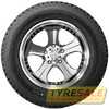 Купить Зимняя шина HANKOOK i Pike RW11 255/70R16 111T (Под шип)