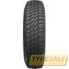 Купить Зимняя шина TIGAR Cargo Speed Winter (шип) 215/70R15C 109/107R