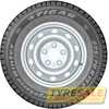 Купить Зимняя шина TIGAR Cargo Speed Winter (шип) 215/70R15C 109/107R