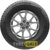 Купити Зимова шина ROSAVA Snowgard 175/70R14 84T (Шип)