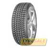 Купить Зимняя шина DEBICA FRIGO HP2 205/60R16 96H