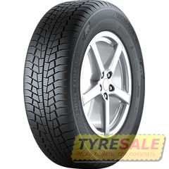 Купити Зимова шина GISLAVED Euro Frost 6 215/70R16 100H
