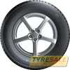Купити Зимова шина GISLAVED Euro Frost 6 195/65R15 95T