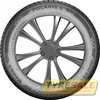 Купити Зимова шина BARUM Polaris 5 195/50R15 82H