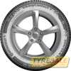 Купити Зимова шина CONTINENTAL VikingContact 7 225/55R17 101T