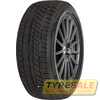 Купить Зимняя шина FORTUNE FSR901 225/65R17 102H