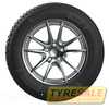 Купить Зимняя шина MICHELIN Alpin 6 195/55R16 91T