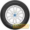 Купить Зимняя шина TOYO Snowprox S943 185/55R16 87H