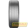 Купить Летняя шина CONTINENTAL EcoContact 6 225/55R18 102Y XL