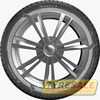 Купити Зимова шина MATADOR MP 93 Nordicca 205/65R15 94H