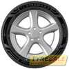 Купити Всесезонна шина STARMAXX Maxx Out ST582 215/55R17 98W