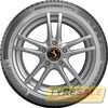 Купить Зимняя шина CONTINENTAL WinterContact TS870P 215/65R17 99V