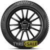 Купить Зимняя шина PIRELLI CINTURATO WINTER 2 225/55R17 101V