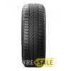 Купити Літня шина TIGAR Cargo Speed Evo 205/65R16C 107/105T