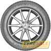 Купить Зимняя шина DUNLOP Winter Sport 5 SUV 265/60R18 114H