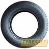 Купити Літня шина TIGAR Cargo Speed Evo 195/60R16C 99/97T
