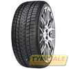 Купить Зимняя шина GRIPMAX SUREGRIP PRO WINTER 245/35R21 96V XL