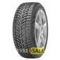 Купити Зимова шина DOUBLESTAR DW08 205/50R17 93H