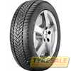Купити Зимова шина DUNLOP Winter Sport 5 255/35R19 96W