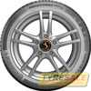 Купити Зимова шина CONTINENTAL WinterContact TS870P 255/45R18 103V XL