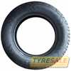 Купить Летняя шина TIGAR Cargo Speed Evo 225/55R17C 109/107H