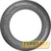 Купити Зимова шина Nokian Tyres Snowproof 2 SUV 215/55R18 99V