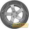 Купить Летняя шина Nokian Tyres Wetproof 1 275/45R20 101Y XL