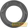 Купить Летняя шина Nokian Tyres Wetproof 1 235/50R18 101Y XL