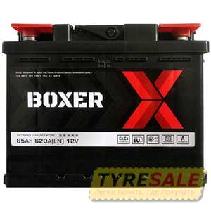 Купить Аккумулятор BOXER (565 81) (L2) 65Ah 620A L+