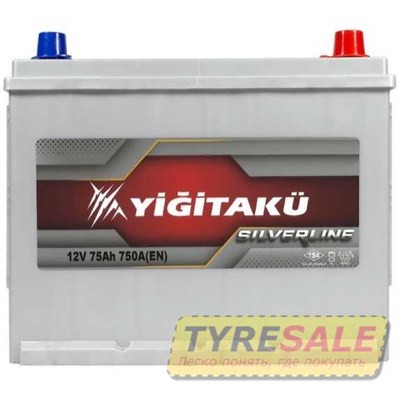 Купити Аккумулятор YIGITAKU Asia SMF 6СТ-75 L+ (N50) B01