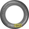 Купити Зимова шина Nokian Tyres Snowproof 2 SUV 255/40R20 101V XL