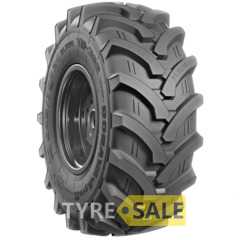 Купити Cільгосп шина ROSAVA TR 302 540/70R24 140A8