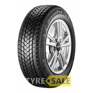 Купити Зимова шина GT RADIAL WINTERPRO 2 165/70R14 81T