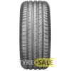 Купить Летняя шина SAVA Intensa UHP 2 205/45R17 88W XL