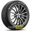 Купить Летняя шина MICHELIN e.Primacy 225/50R19 100V