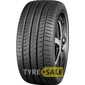 Купити Літня шина KUSTONE Safy M06 205/50R17 93W